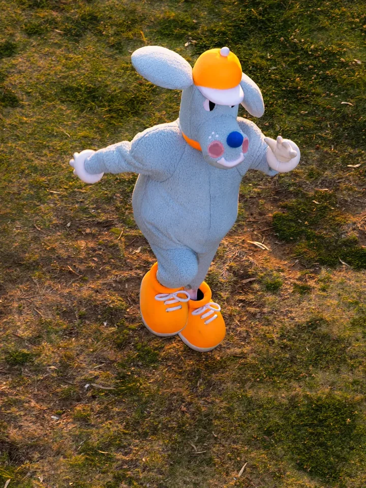 The blue Sports Dreams mascot looking up from the field
