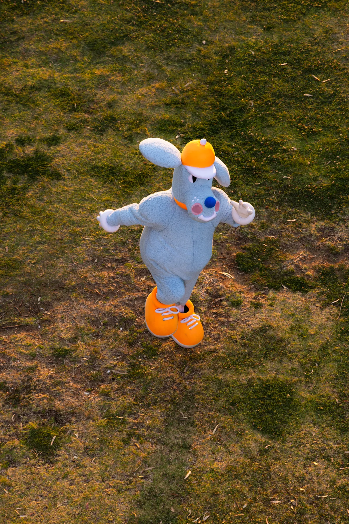 The blue Sports Dreams mascot looking up from a grassy field in an orange cap and shoes